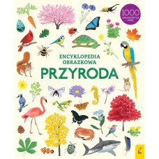 Encyklopedia obrazkowa Przyroda